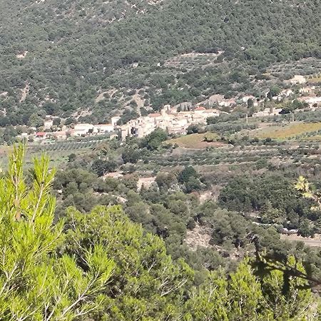 A L'Oree Des Oliviers Venterol  Luaran gambar
